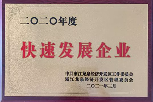 2020 Fast growing enterprises
