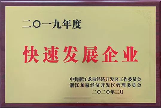 2019 Fast growing enterprises
